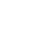 Apple White Icon