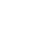Apple White Icon