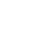 Apple White Icon